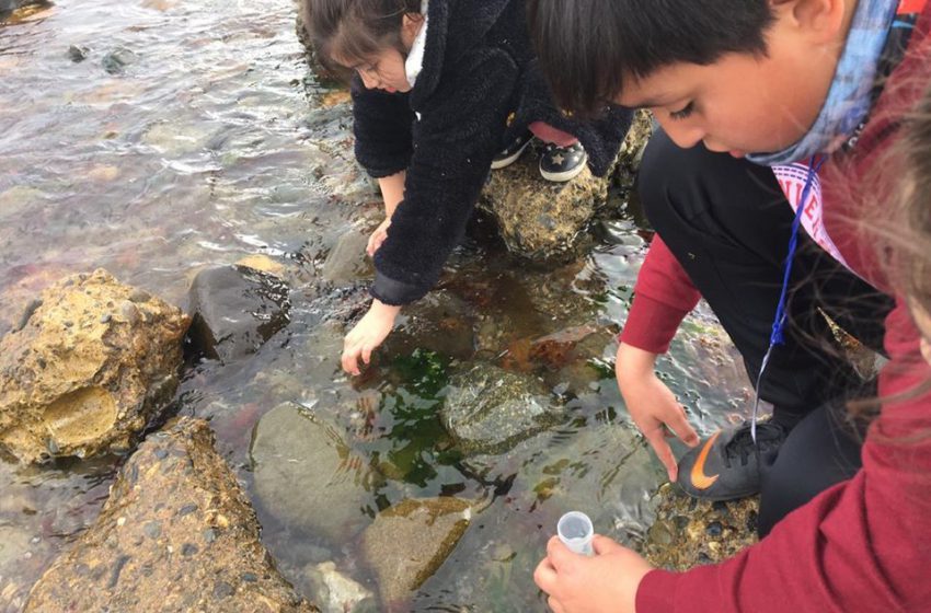  Campamentos Científicos Escolares de Explora inician este lunes