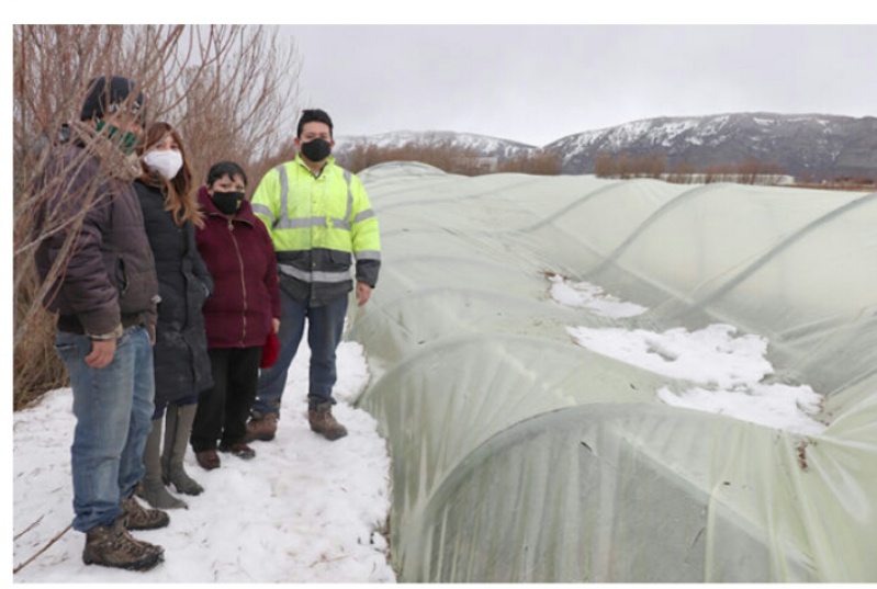  Importantes daños en invernaderos provocados por la nieve y la escarcha afectan a pequeños agricultores de Natales