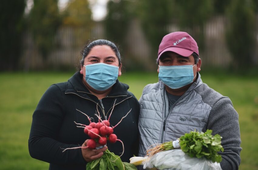  En Puerto Natales subsecretario de Agricultura entregó Sello Manos Campesinas y destacó el éxito del convenio suscrito entre INDAP y el Gobierno Regional    