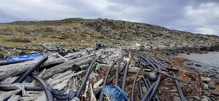  Denuncian ante la SMA y Sernapesca a empresa salmonera por presencia de desechos y material plástico en Península Antonio Varas