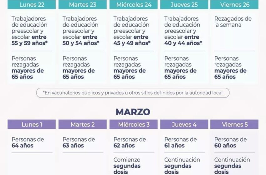  Calendario de vacunación