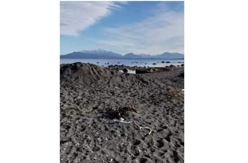  Incumplimientos ambientales en Río Hollemberg: debe primar el ecosistema por sobre el abastecimiento de agua dulce a la piscicultura de AquaChile