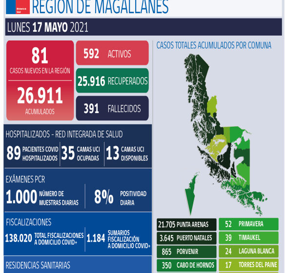  Resumen informe Covid-19 para Magallanes