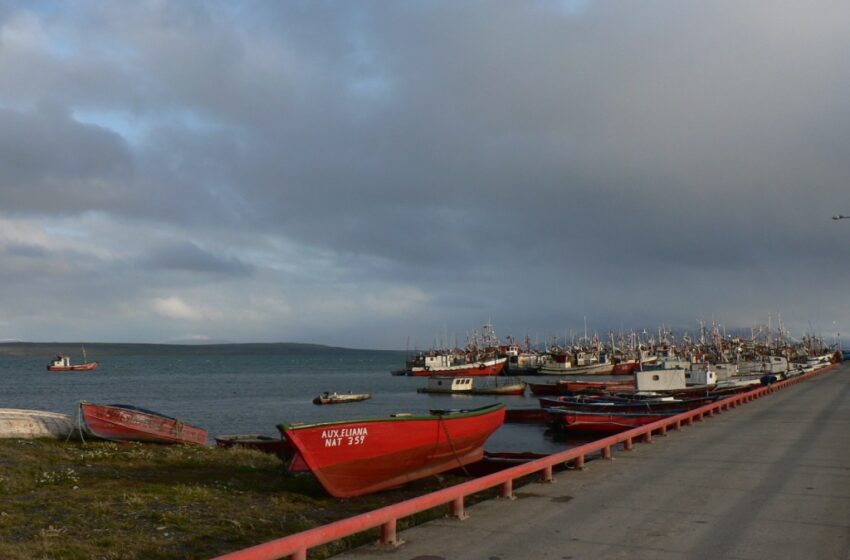  Cuestionan representatividad de candidato Jaime Cosme Ormeño y su vinculación con el sector pesquero artesanal de Magallanes