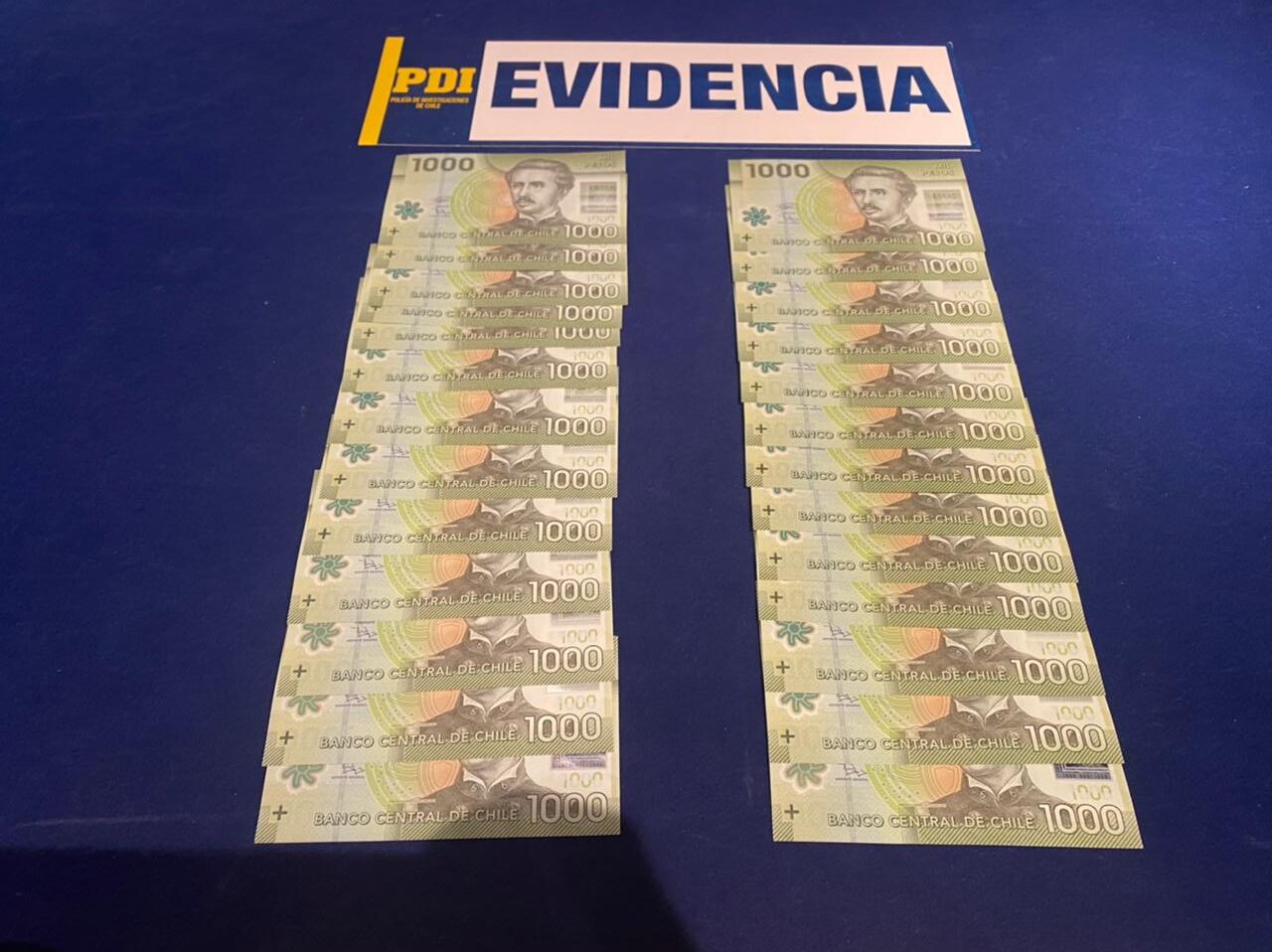 PDI Puerto Natales detiene a una mujer por el delito de robo con ...