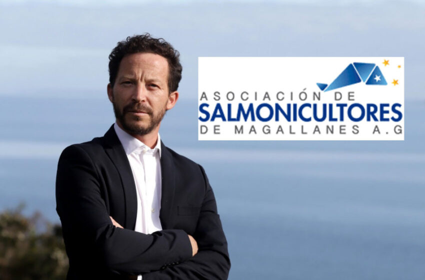  Empresarios salmoneros de Magallanes no se dan por enterados de la prohibición a  cultivo de salmón en la Tierra del Fuego Argentina