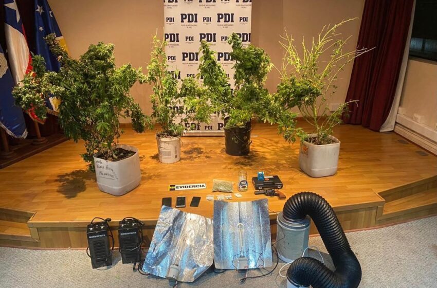 En un procedimiento PDI incauta drogas, un arma de fogueo y detiene a tres sujetos en Puerto Natales