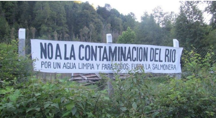  Tribunal Ambiental rechaza ampliación de piscicultura salmonera en territorio Mapuche por afectar patrimonio sanitario y turismo de la zona