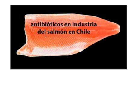 Salmonicultura chilena aumenta uso de antibióticos en el primer semestre de 2021