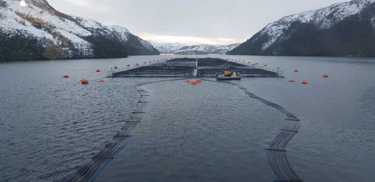  Trabajador de empresa Nova Austral se autodespidió para no cometer ilícitos ordenados por la salmonera