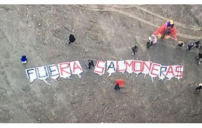  Movimiento feminista de Puerto Natales protesta contra salmoneras en la Patagonia