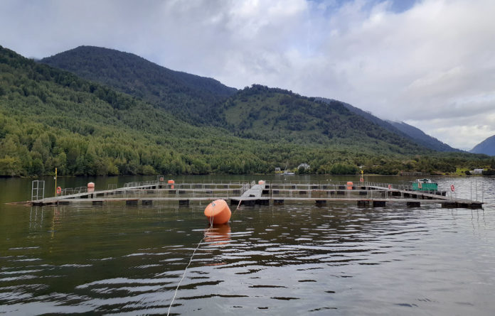  Salmoneras: entre el Subsidio, el blanqueo y el GEF