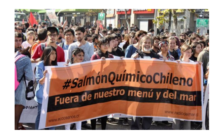  Criminalización de las organizaciones socio-ambientales y comunidades de pueblos originarios: ¿Quo vadis industria salmonera en Chile?