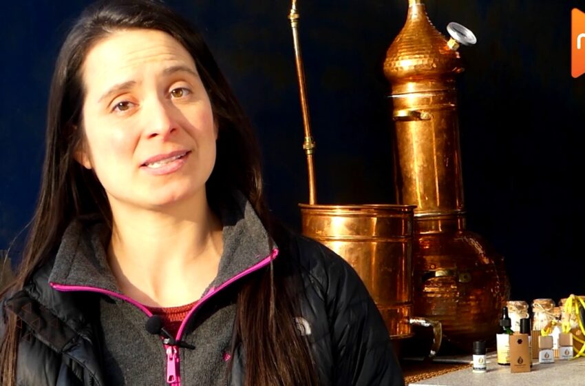 Nada Nos Detiene Última Esperanza ya tiene a las tres iniciativas que se encontrarán en la Gran Final