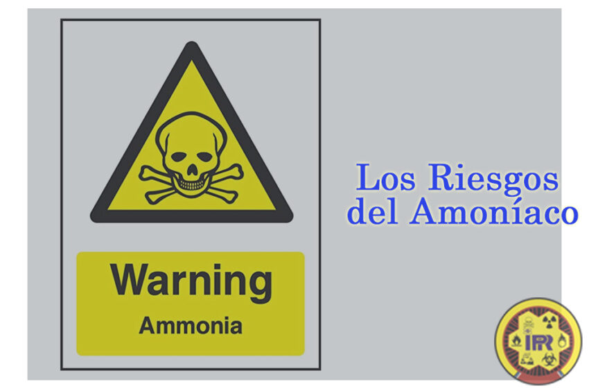  Se confirma fuga de Amoníaco en megaplanta de Australis Mar en sector Dumestre