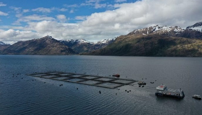  El fuerte conflicto político- empresarial en la Reserva Nacional Kawésqar:  ¿Conservación a la medida de los salmoneros?