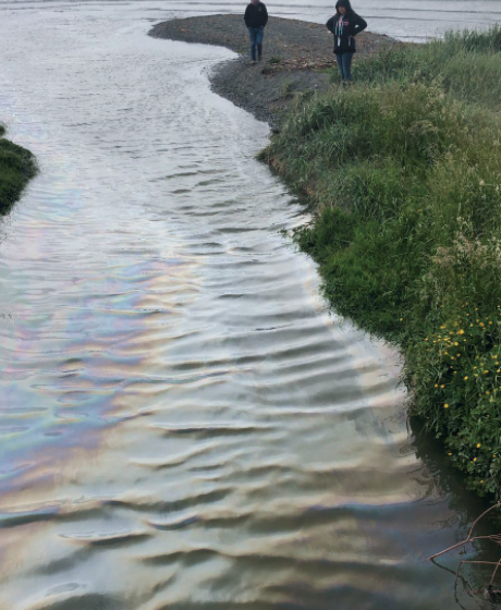  Municipio de Natales hace un llamado a denunciar acciones que contaminen la comuna