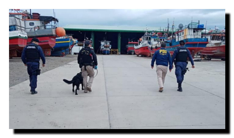  Policía civil realizó fiscalización a extranjeros en el terminal pesquero de Natales
