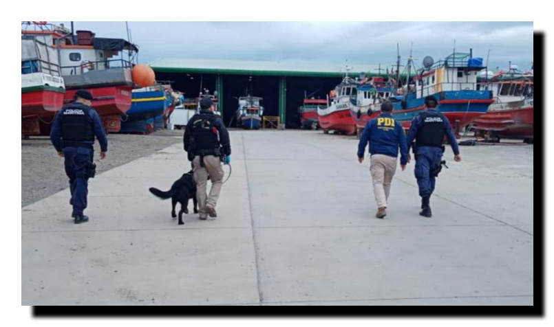 Policía civil realizó fiscalización a extranjeros en el terminal pesquero de Natales