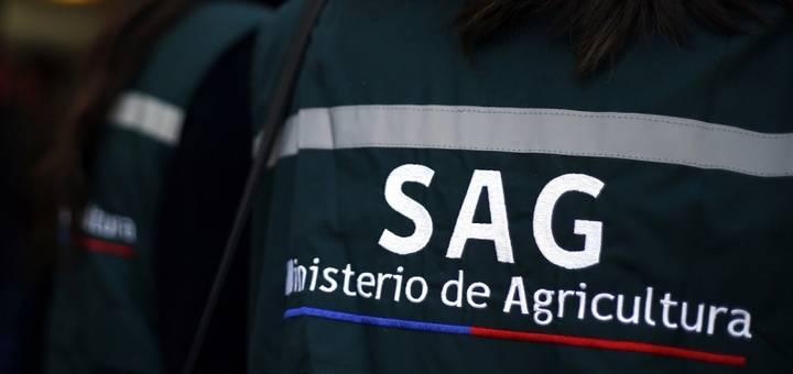  SAG suspende temporada de caza de aves silvestres