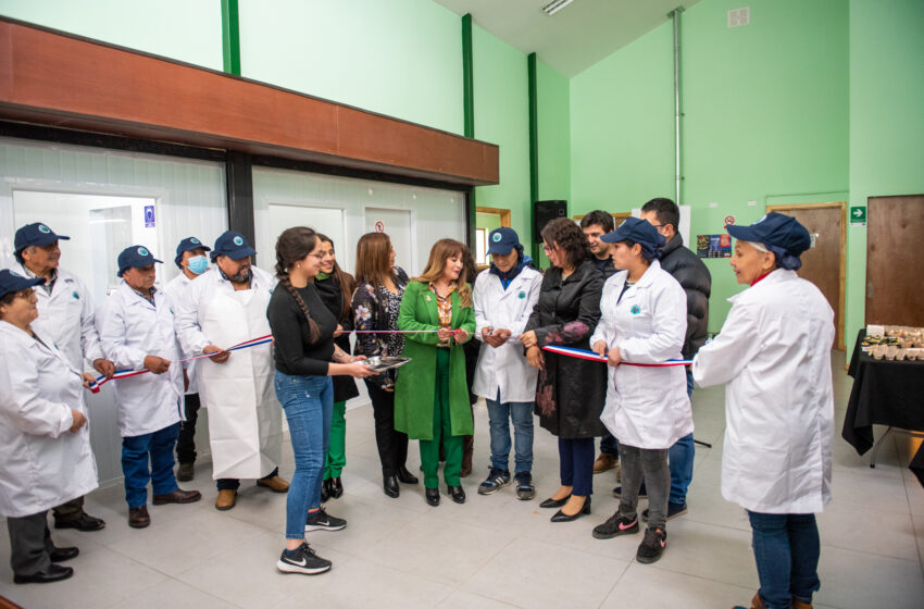  MUNICIPALIDAD DE NATALES PRESENTÓ PROGRAMA DE ACTIVIDADES PARA INCENTIVAR LA ECONOMÍA LOCAL Y EL TURISMO