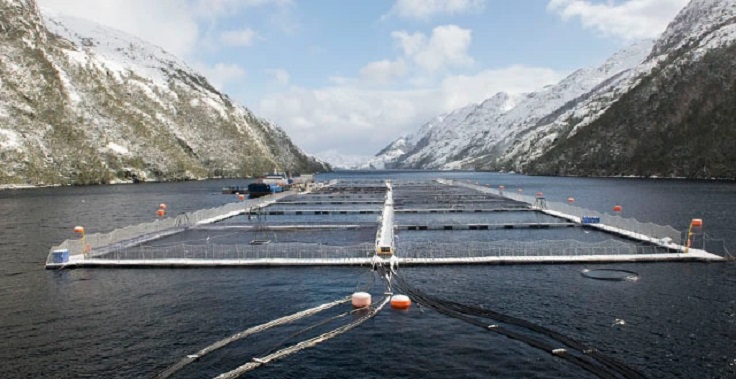  Balance de la Ley Sbap: Expansión salmonera en reservas nacionales como punto crítico de la nueva norma para la naturaleza