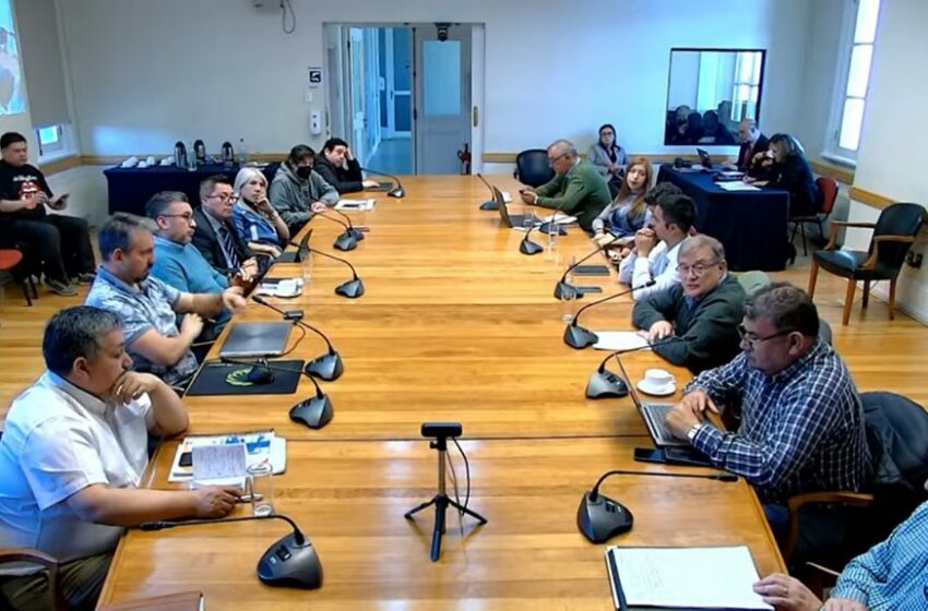 Consejeros regionales suscriben declaración pública que valora el trabajo de las organizaciones de la Sociedad Civil en Magallanes