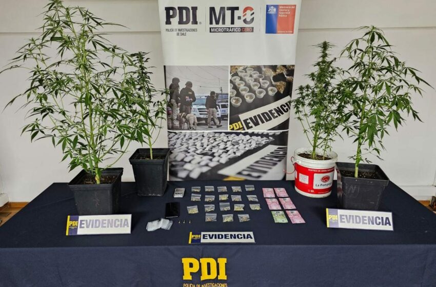  Policiales. Desarticulan punto de venta de droga en Natales