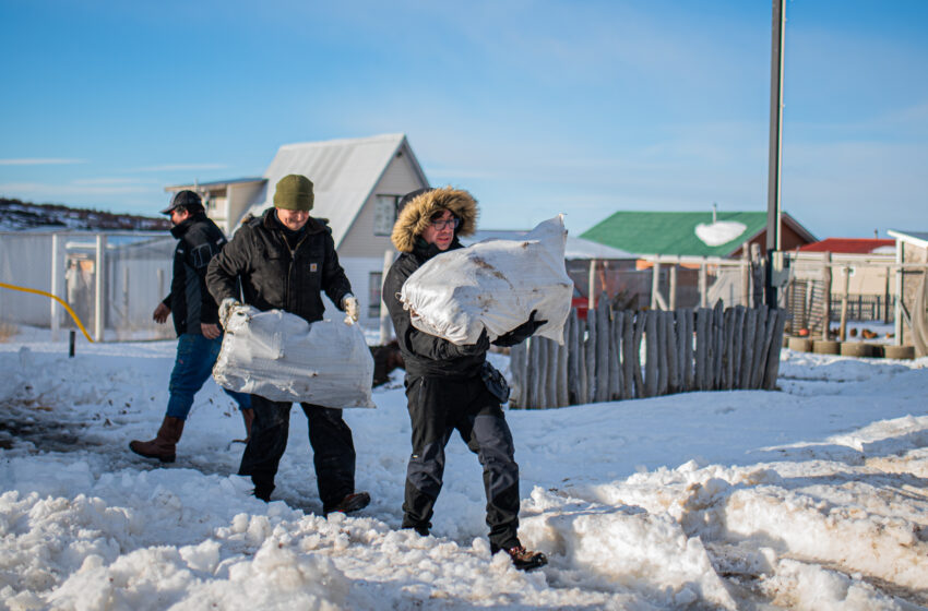  Municipio de Natales asistió a más de 100 familias con agua, leña y canastas de alimentos durante emergencia climática