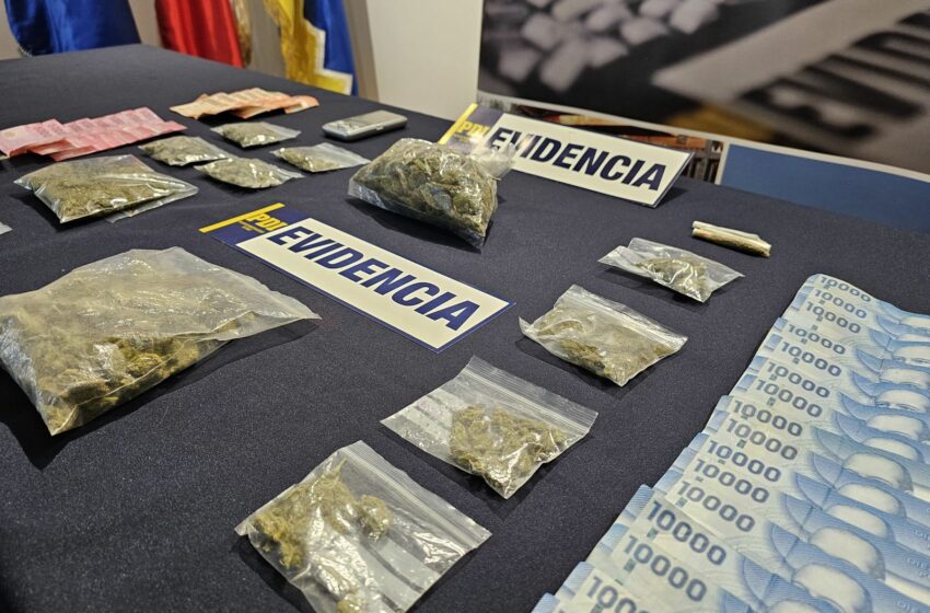  Policiales. PDI Puerto Natales desarticula un punto de microtráfico de drogas e incauta seis millones de pesos en Cannabis Sativa