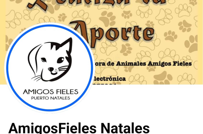  Protectora de animales “Amigos Fieles” de Natales contará con recinto para atención de calidad gracias a las gestiones de alcaldesa y Seremi de Bienes Nacionales