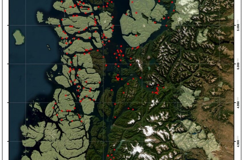  Especulación al descubierto: Más de 250 concesiones salmoneras en Región de Aysén en condición de caducidad