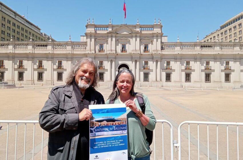  Masivo y urgente llamado de la sociedad civil global al presidente Gabriel Boric para fortalecer el Santuario de Ballenas de Chile