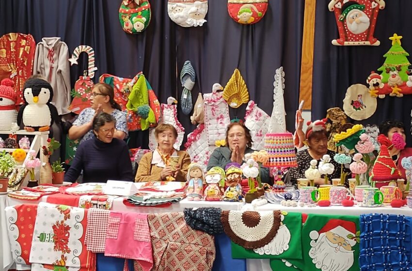  LOS ADULTOS MAYORES DE LA COMUNA DE NATALES REALIZARON HERMOSA FERIA NAVIDEÑA