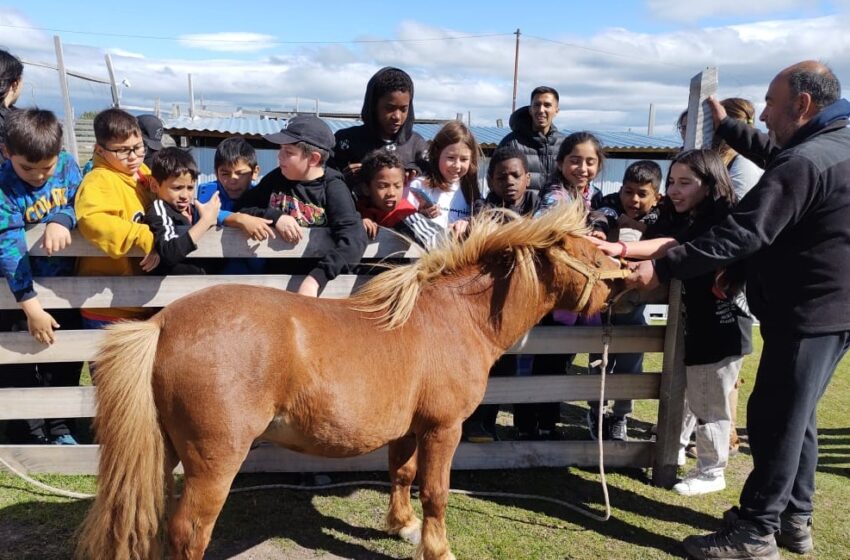  PROGRAMA DE “4 a 7” REALIZÓ VISITA A GRANJA EDUCATIVA EN LA COMUNA DE NATALES