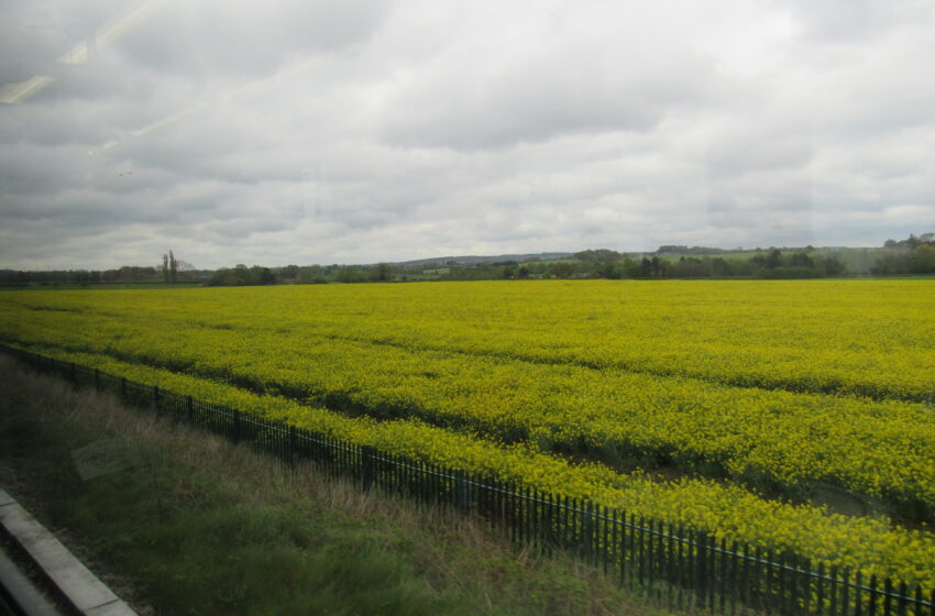  CAMINO A LIVERPOOL
