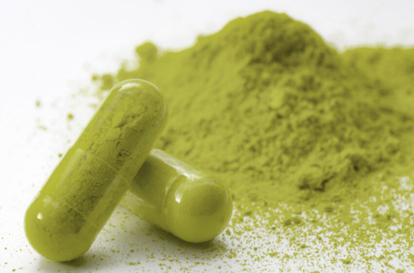  Kratom: la nueva droga a base de plantas con un alto potencial adictivo 