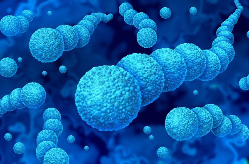  Infecciones por Streptococcus pyogenes en aumento: cómo protegerse y actuar a tiempo