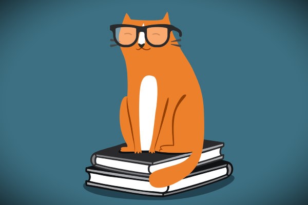  La importancia de los gatos