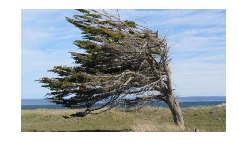  EL VIENTO EN PATAGONIA
