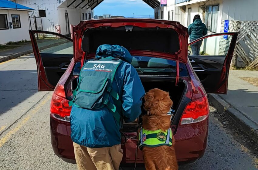 Si viajas al extranjero en Fiestas Patrias, no olvides estas recomendaciones de SAG Magallanes