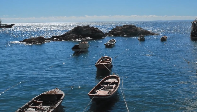  Identidad Territorial Lafkenche: “Los ECMPOs por ley no pueden negar el acceso a ningún usuario del mar”