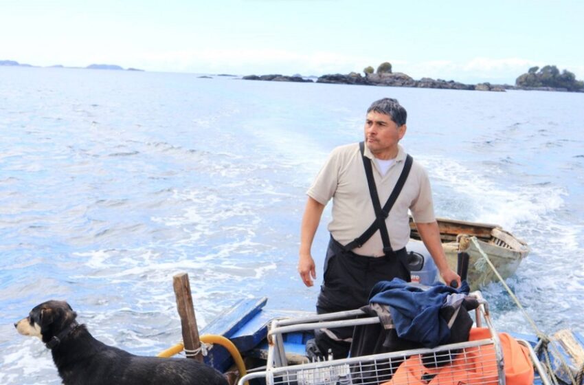  Indignación por reactivación de concesiones salmoneras en Repollal (Aysén): Lonko denuncia daño ambiental e irregularidades