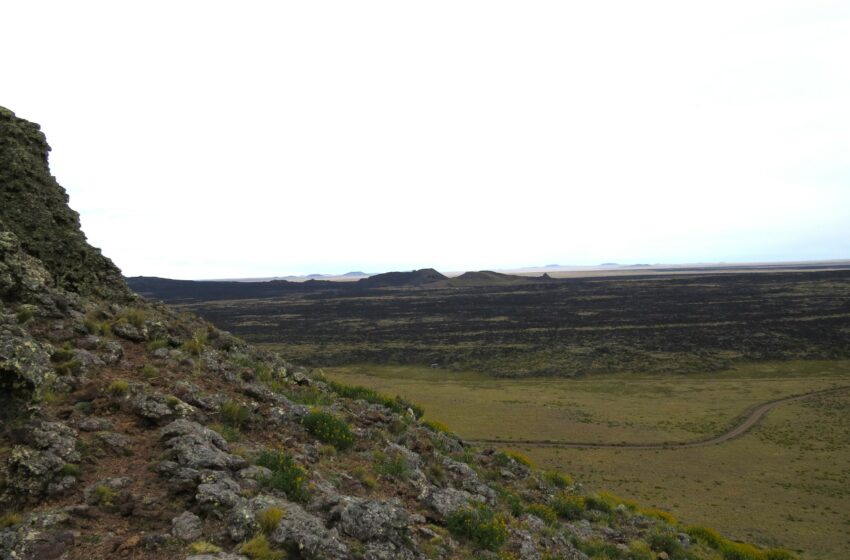 Alerta de zona de sacrificio en la Patagonia: Total Energies NO es bienvenida