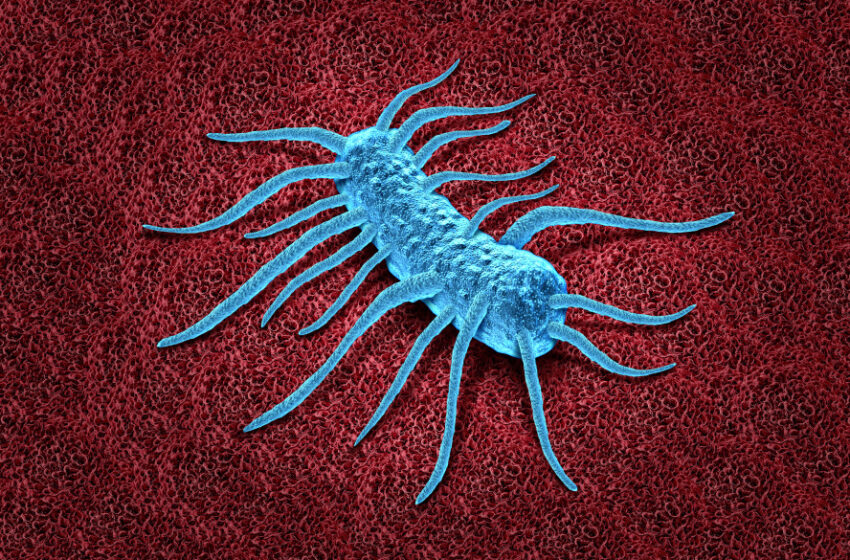  ¿Por qué la listeria puede ser más peligrosa para las embarazadas?