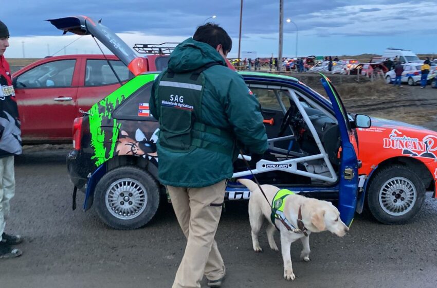  SAG refuerza fiscalización en frontera ante la 50° versión del Gran Premio de la Hermandad