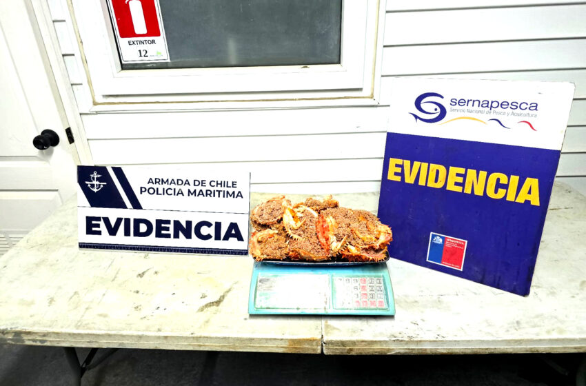  En un procedimiento de fiscalización embarcación pesquera se da a la fuga en Última Esperanza